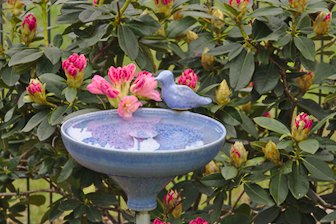 Vogeltränke im Garten