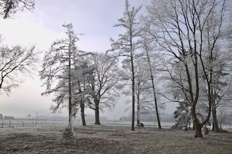 Winterpause